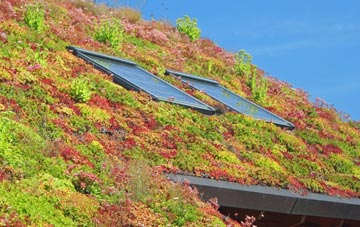 Sandringham living roof systems