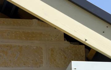 soffit repair Sandringham